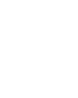 Vivuto Wealth Management logo